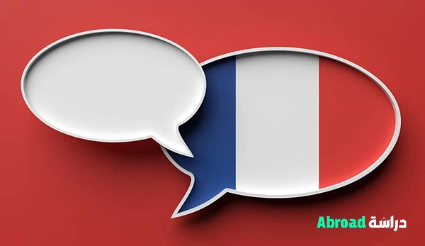 تخصص اللغة الفرنسية